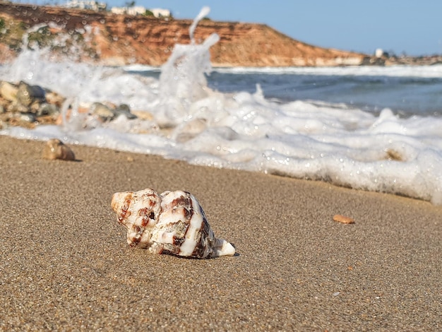 Vega Baja del Segura Orihuela Costa