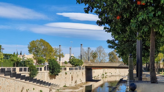 Vega Baja del Segura Orihuela Junto al Ro Segura a su paso por Orihuela Paisaje entre puentes