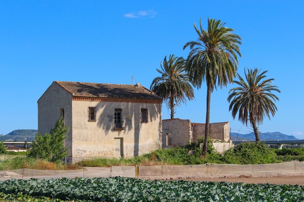 Vega Baja del Segura - Orihuela - Paisajes, casas y construcciones en la huerta de la comarca