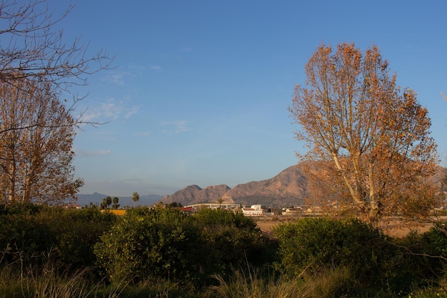 Vega Baja del Segura Orihuela Paisajes de la sierra la huerta y sus detalles