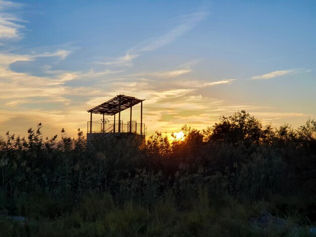 Foto vega baja del segura parque natural de el hondo