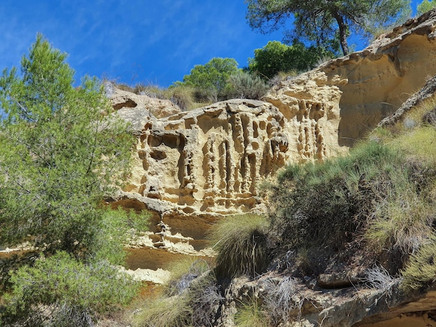 Vega Baja del Segura Pilar de la Horadada Rio Seco