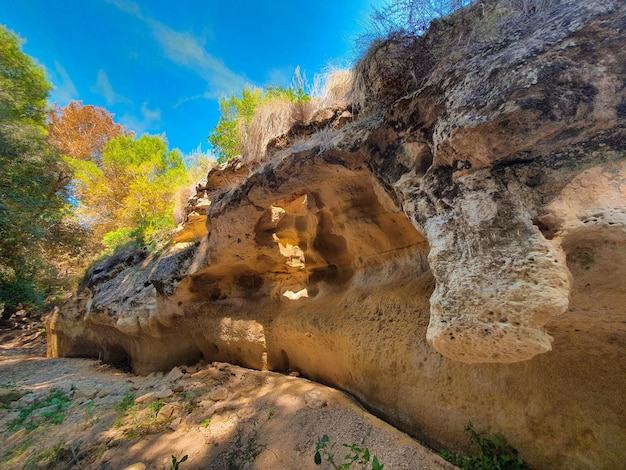 Vega Baja del Segura Pilar de la Horadada Rio Seco