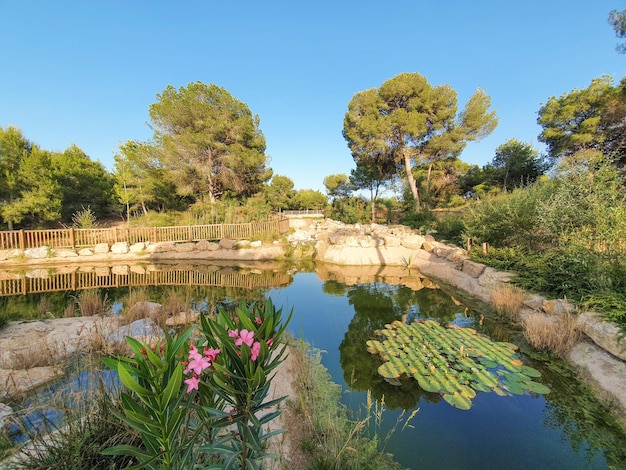 Foto vega baja del segura - rojales - centro del pueblo y parque del recorral