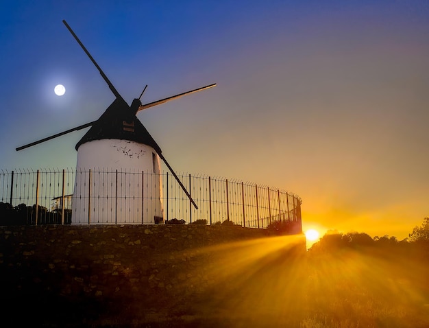 Vega Baja Segura Rojales Molino de viento