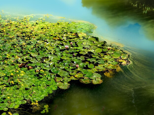 Foto vega baja del segura rojales parque el recorral