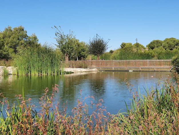 Foto vega baja del segura rojales parque el recorral