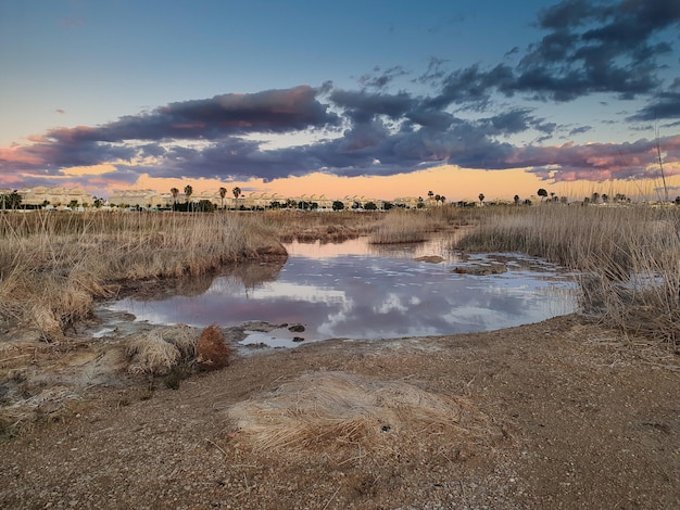 Vega Baja del Segura - Salinas de Torrevieja - La Laguna Salada y su entorno, un paisaje único