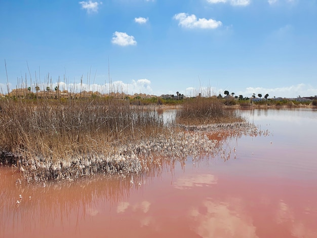 Vega Baja del Segura - Salinas de Torrevieja - La Laguna Salada y su entorno, un paisaje único