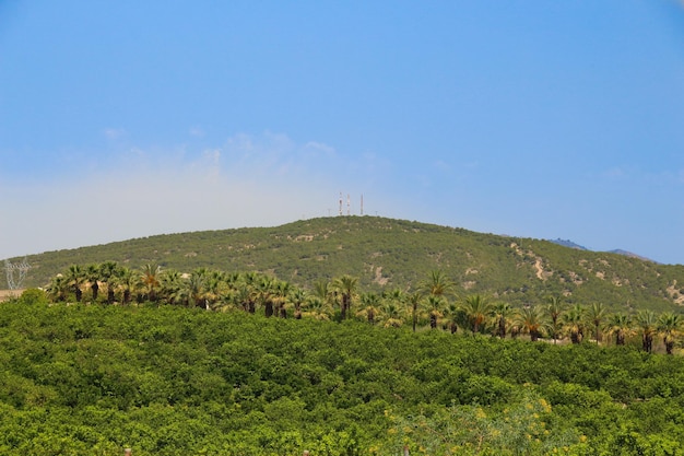 Vega baja del Segura Sierra de Hurchillo