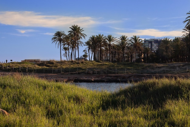 Vega Baja del Segura - Torrevieja - Cala Ferris o Paraje Natural Lo Ferris