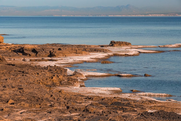 Vega Baja del Segura Torrevieja Litoral costero con el mar tranquilo y algas blancas secas