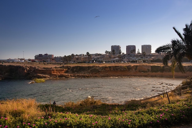 Vega Baja del Segura Torrevieja Paisajes y detalles en las calas de Torrevieja