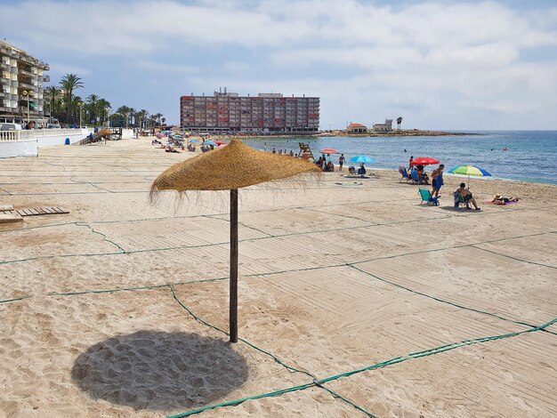 Foto vega baja del segura - torrevieja - playa de los locos y cala del palangre