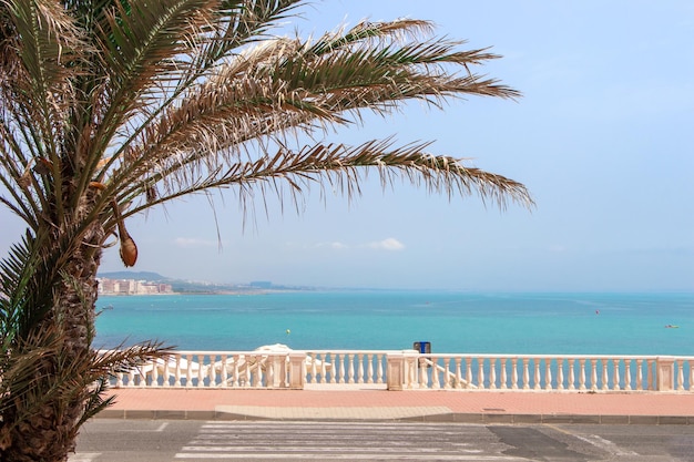 Vega Baja del Segura - Torrevieja - La Playa de la Mata y su entorno