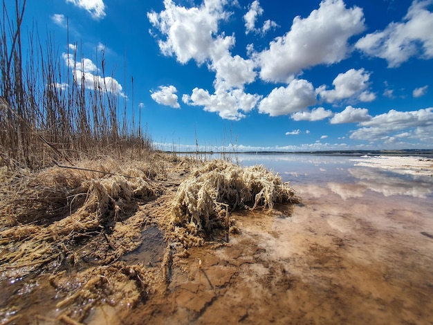 Vega Baja del Segura Torrevieja Salinas y laguna rosa y salada