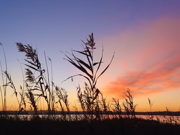 Vega Baja del Segura - Torrevieja - Las salinas paisajes con sol y luna