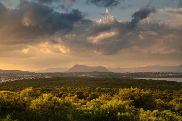 Vega Baja del Segura - Torrevieja - Vista panoramica desde lo alto del Parque Natural de la Mata