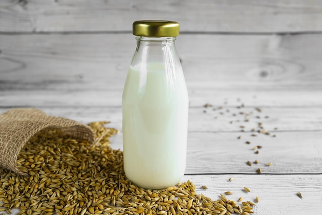 Vegane Gerstenmilch milchfreie Alternativmilch auf einem Holztisch in einer Flasche neben Gerstenkörnern in einem Jutebeutel-Kopienraum