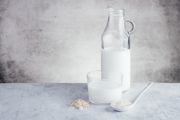 Vegane Milch auf Reispflanzenbasis in Flaschen, grauer Hintergrund. Alternative Milch ohne Milchprodukte. Gesunde vegetarische Milch