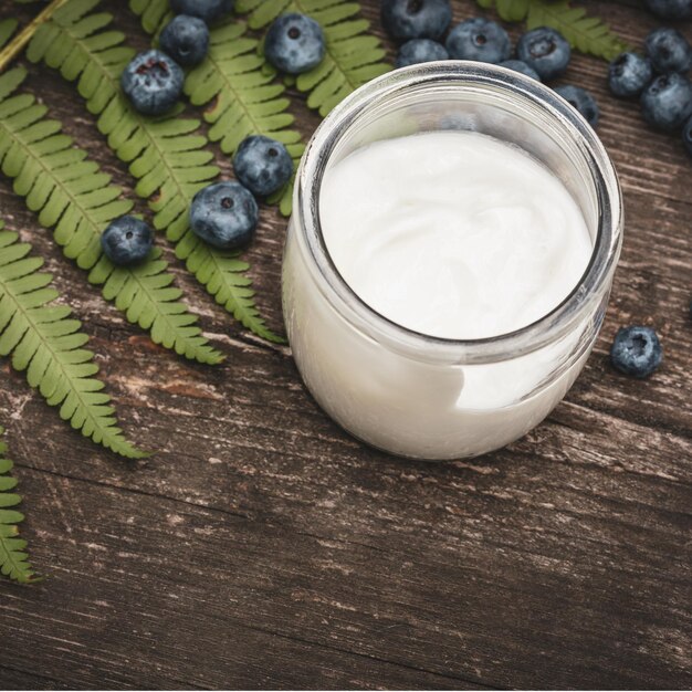 Veganischer hausgemachter Pflanzenjoghurt auf einem Holztisch mit Farnblättern und Blaubeeren