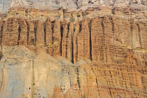 Vegetação e flores ao lado do deserto de Upper Mustang com cavernas feitas pelo homem em Chhusang Nepal