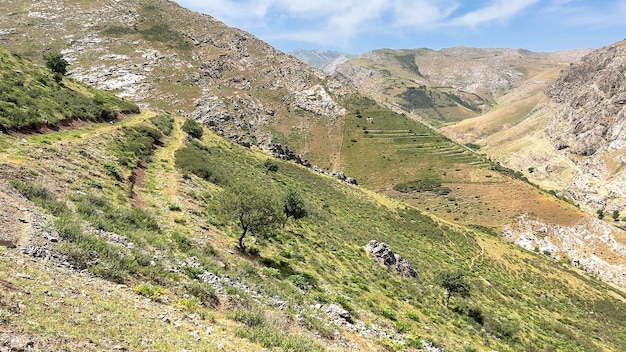 Vegetação nas planícies das montanhas da Ásia Central