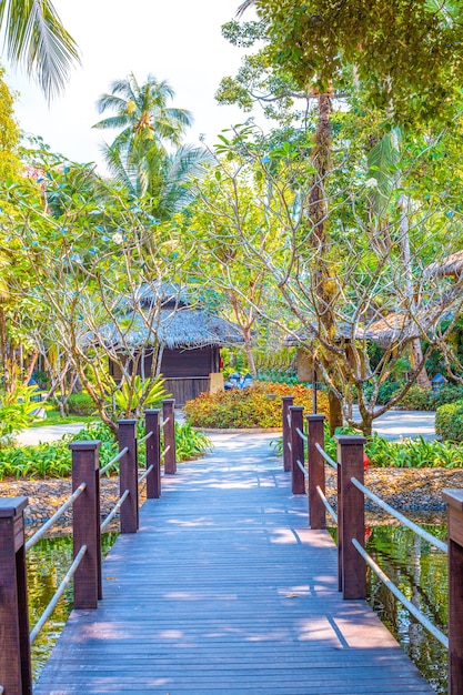 Vegetación en el parque del hotel, solución de diseño, paisajismo con plantas tropicales.