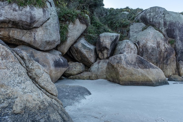 Vegetación y rocas de la playa de Naufragados en Florianópolis, estado de Santa Catarina