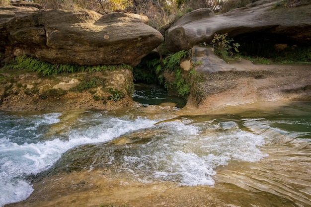 Vegetación turismo destino bosque paisaje verano ecoturismo hermoso parque nacional