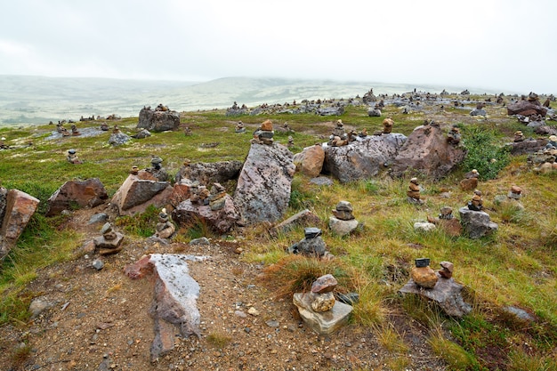 La vegetación de verano en la tundra de montaña, Península de Kola, Rusia.