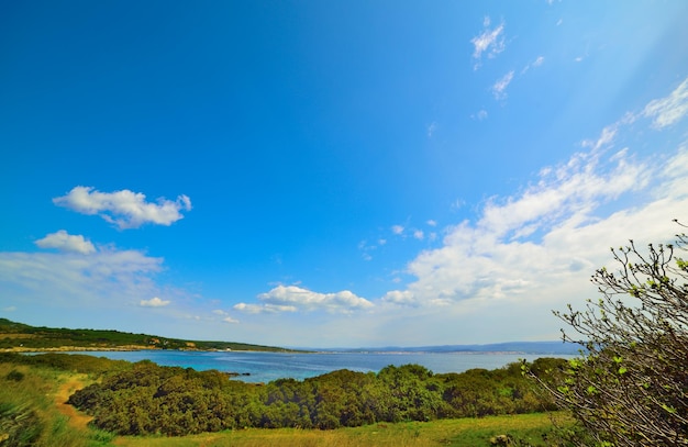 Vegetación verde y mar azul en Cerdeña Italia