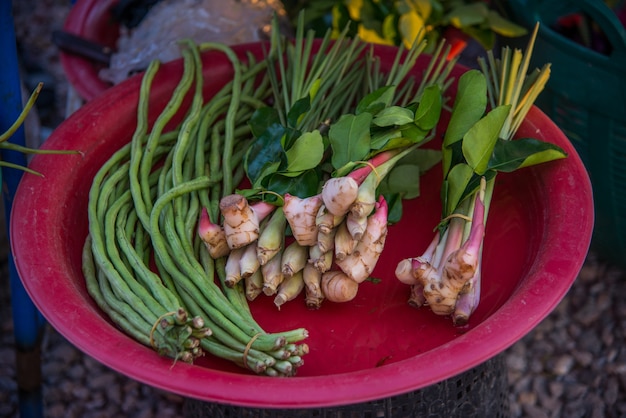 Vegetais caseiros plantados com estrume