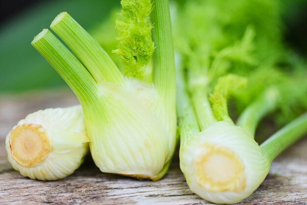 Foto vegetais de erva-doce do jardim bulbos de eriva-doce frescos e crus prontos para cozinhar em alimentos natureza de madeira fundo verde