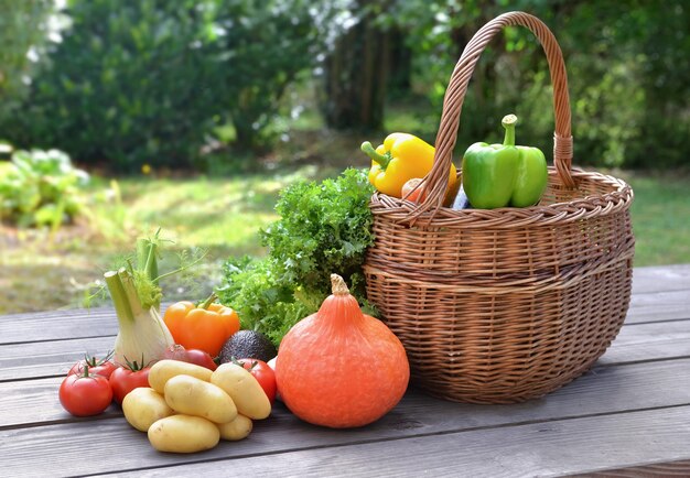 Vegetais diversos e coloridos colocados em uma mesa ao lado de uma cesta no jardim