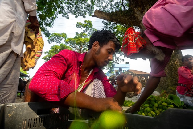 Vegetais frescos e verdes da cabaça espinhosa prontos para a venda no mercado