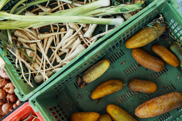 vegetais orgânicos em um autêntico mercado de fazendeiros