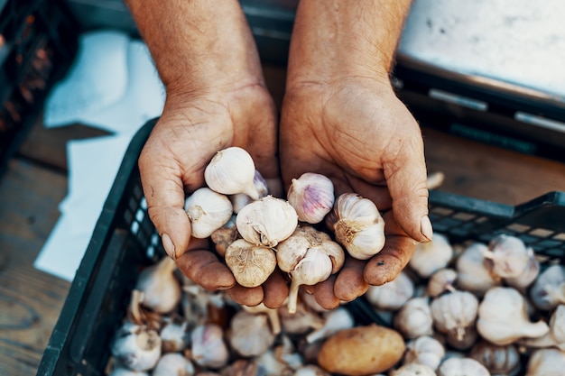 vegetais orgânicos em um autêntico mercado de fazendeiros