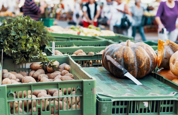 vegetais orgânicos em um autêntico mercado de fazendeiros