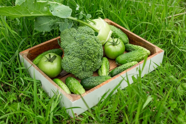 Vegetais verdes frescos na caixa de madeira na grama