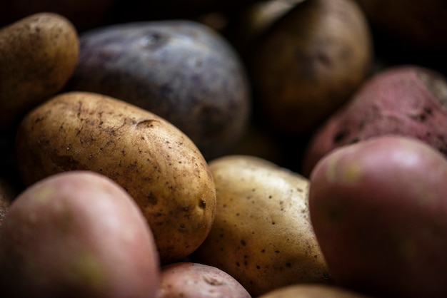 Vegetal de raiz de batatas frescas