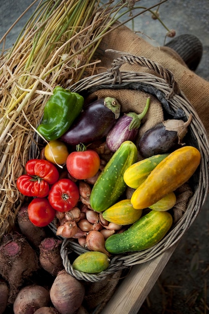 Foto vegetal em um carrinho de mão