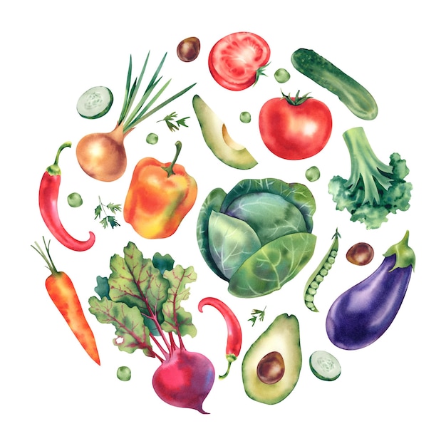 Vegetales de acuarela en un círculo Cabaza pimienta berenjena tomate pepino remolacha guisantes guisantes verdes aguacate y cebolla La ilustración está pintada a mano para diseñadores que imprimen postales
