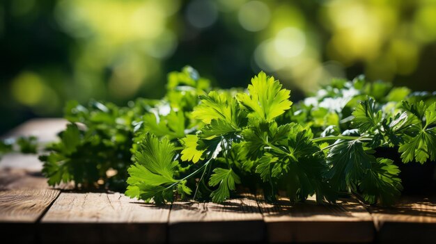 Vegetales de apio en la mesa de madera