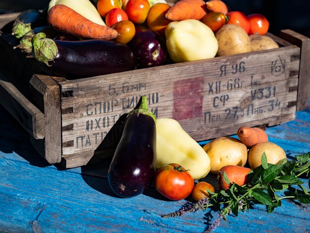 Foto vegetales en cajas