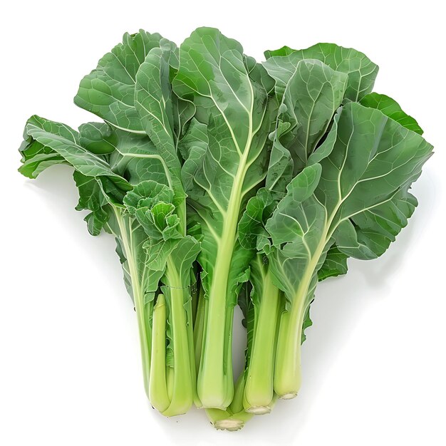 Vegetales crucíferos Gai Lan de tallos gruesos con hojas verdes aislados en brotes blancos BG limpios en blanco