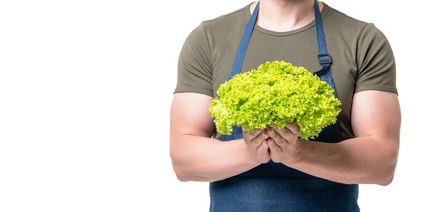 Vegetales de lechuga en manos del hombre aislado en blanco