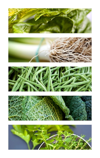 Foto vegetales y verduras