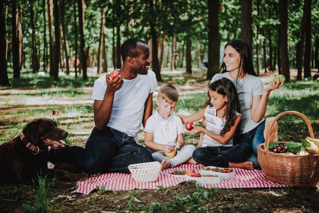 Vegetarische Mischrasse-Familie hat Picknick im Park.