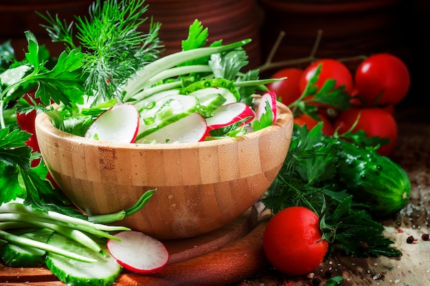 Vegetarischer Salat mit Radieschen, Gurke, Tomate, Bärlauch, Frühlingszwiebeln und Kräutern, selektiver Fokus